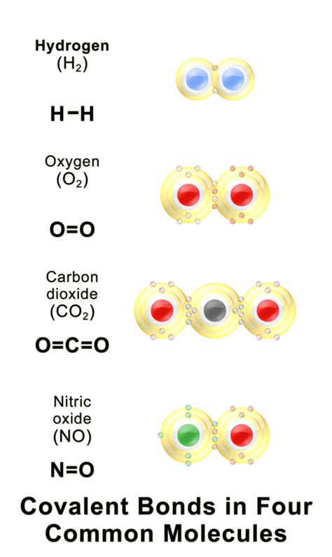 How Are Covalent Bonds Formed Concept Of Chemical Bonds Basis Of