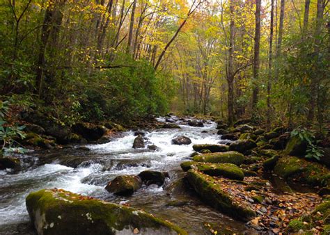 Gatlinburg October Hiking Guide â€" Great Smoky Mountains