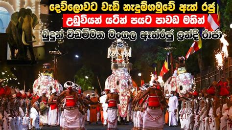 Kandy Esala Perahera Dalada Perahera Ceylon Guide Hot Sex Picture