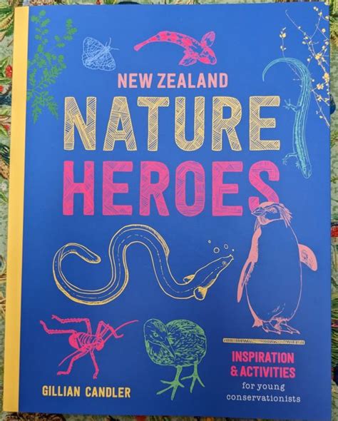 New Zealand Nature Heroes Matuku Link