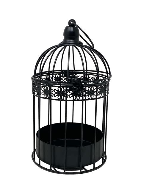 10 Best Decorative Bird Cages for Your Home Décor - Hummingbirds Plus