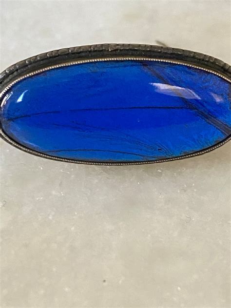 Antique England Blue Morpho Butterfly Wing Pin Brooch Gem