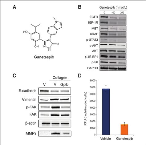 Ganetespib Activity In Tnbc Cells In Vitro A Chemical Structure Of