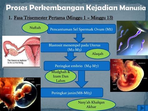 Proses Penciptaan Manusia Berdasarkan Al Quran Andsunnah Proses