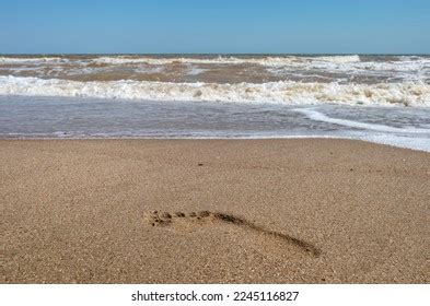 Nude Woman Lace Shadow On Body Stock Photo Shutterstock