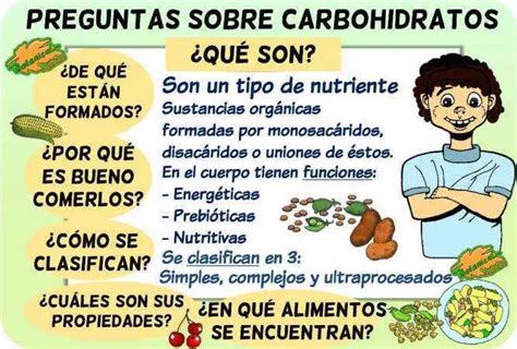 Carbohidratos Qu Son Funciones Y Alimentos En Pocas Palabras