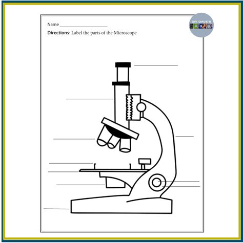 Plant Cells Microscope Worksheets Activity Banana Cells Worksheets