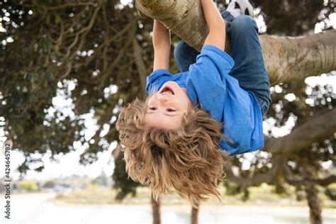 Childhood leisure. Happy kids hanging upside down on tree and having fun in summer park ...