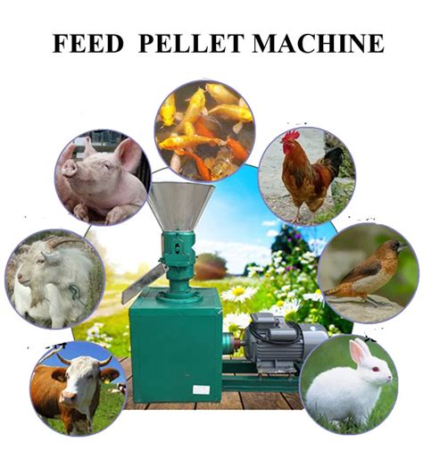 Animal Poultry Cattle Chicken Fish Feed Pellet Making Machine Floating