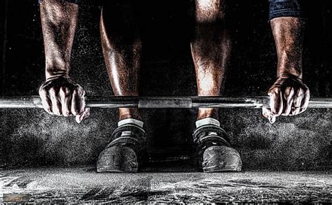xpx   hd wallpaper bodybuilding bench