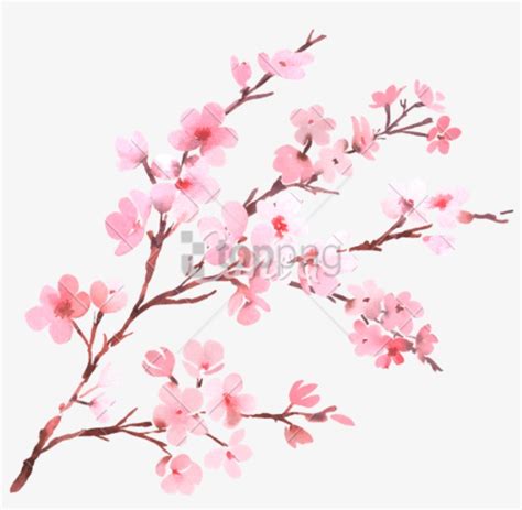 Watercolor With Spring Tree Branch In Blossom Watercolor Cherry