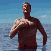 David Hasselhoff Pecs David Hasselhoff Pecs Spongebob Discover