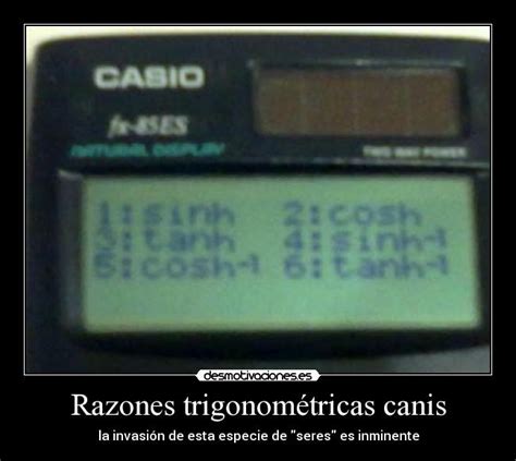 Razones Trigonom Tricas Canis Desmotivaciones