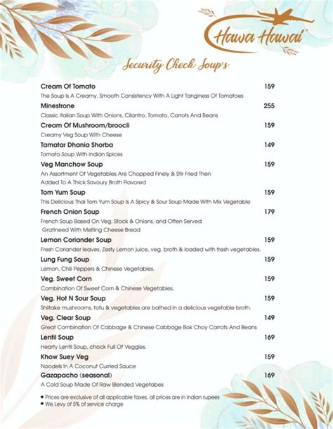 Hawa Hawai Aeroplane Restaurant Menu Food Price