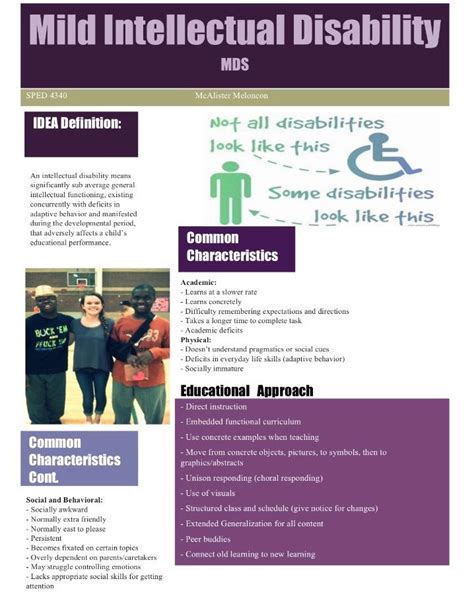 Mild Intellectual Disability Fact Sheet Fact Sheet Disability