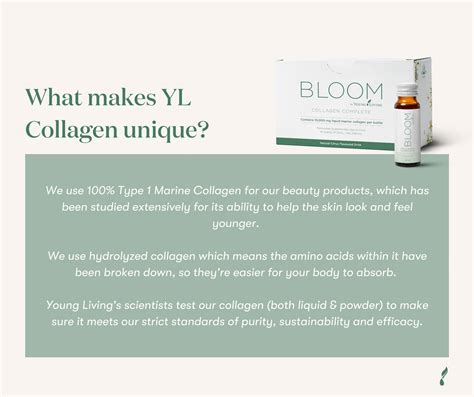 Bloom Collagen | Eco Hutt