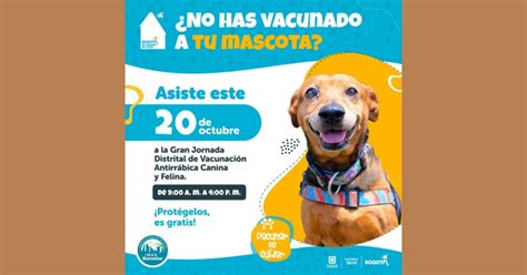 Vacunaci N Gratuita En Bogot Para Perros Y Gatos Domingo Octubre