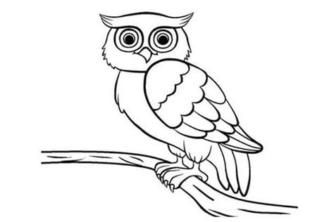 Sketsa Burung Sederhana - Homecare24