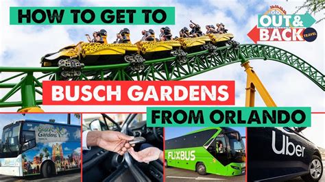 Orlando To Busch Gardens Shuttle Fasci Garden