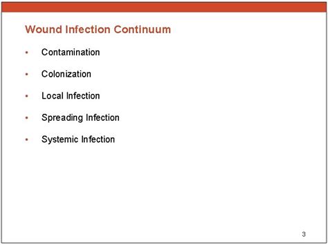 Wound Infections The Basics Overview Wound Infection Continuum