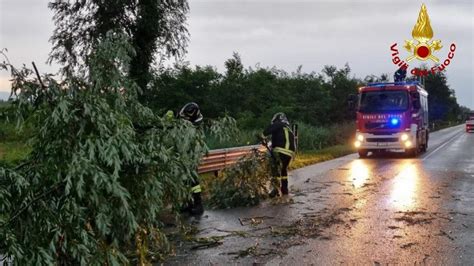 Alberi Caduti E Grondaie Pericolanti Per Vento E Pioggia Interventi