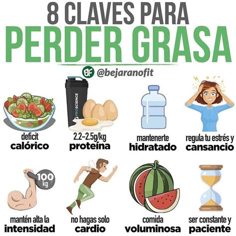 Nutricion Ejercicio Salud On Instagram “📚fundamentos Para Perder Grasa