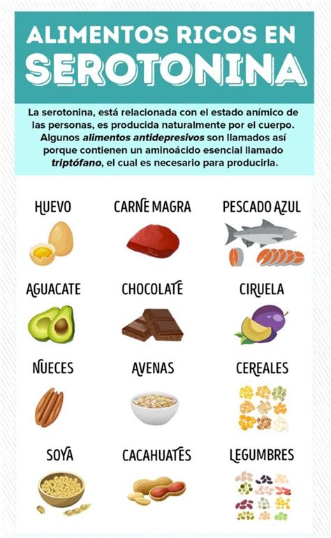 Gu A Definitiva Sobre Dopamina Y Serotonina Con Sesi N Incluida