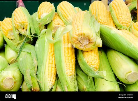 Corn in the market Stock Photo - Alamy