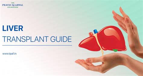 A complete Guide to Liver Transplant and its Procedure - TPAF