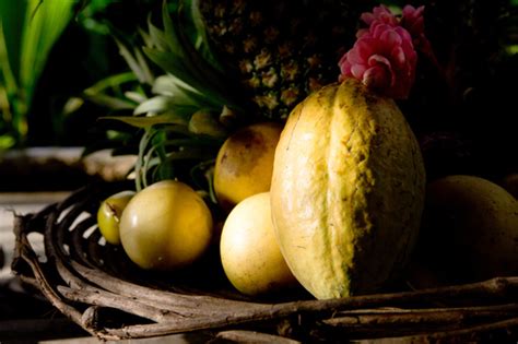 Free Tropical Culture Photos And Pictures Freeimages