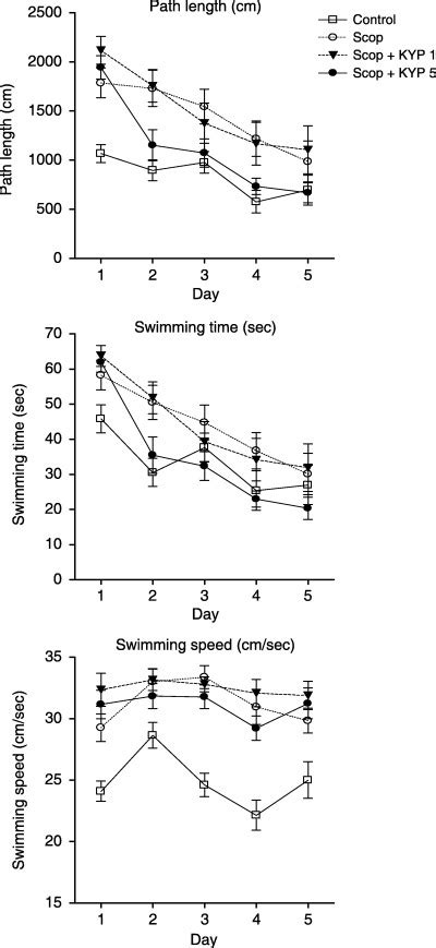 Effect Of Kyp 2047 1 Or 5 Mgkg 30 Min Before Daily Testing On Water