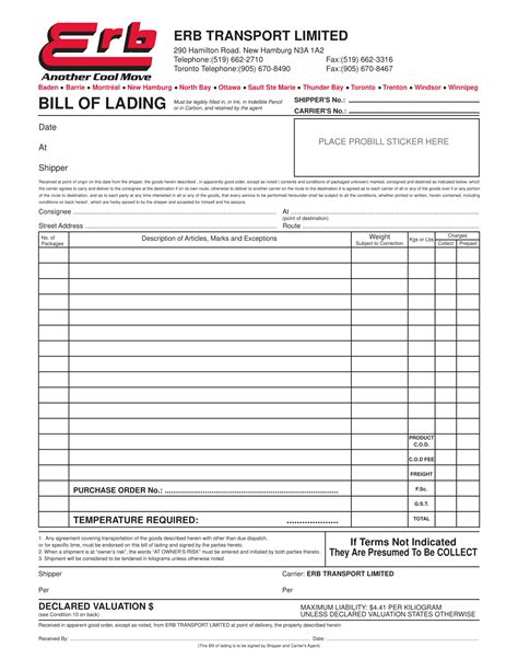 Transport Bill Of Lading Examples Format Pdf