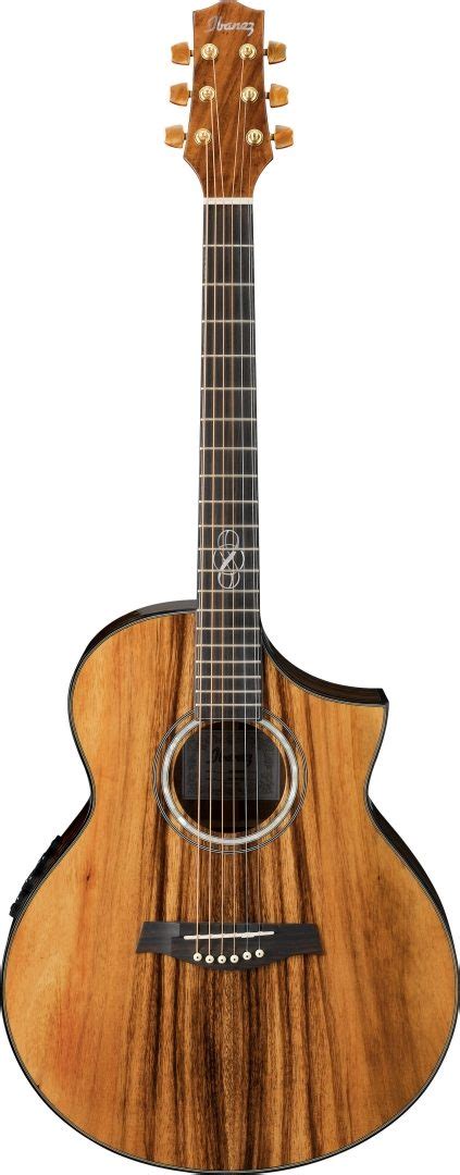 Ibanez Ew50mpse Exotic Wood Acoustic Electric Guitar Zzounds