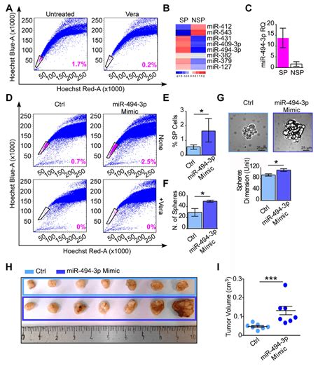 MiR 494 3p Contributes In Cancer Progenitor Cells Maintenance And Tumor