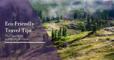 eco friendly travel tips wanderdolls