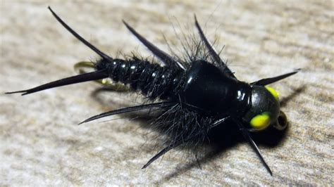 Bh Biot Stonefly Black Fly Tying Instructions By Ruben Martin Youtube