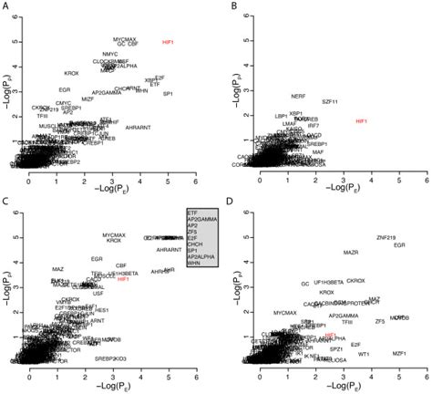 Promoter Analysis Of Hypoxia Related Gene Signatures Obtained From