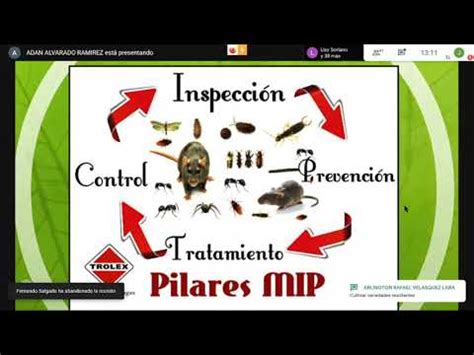 Las Mipe Y Mip Manejo Integrado De Plagas Youtube