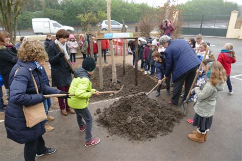 Gleizé Solidarité Chervinges larbre de la solidarité planté à l