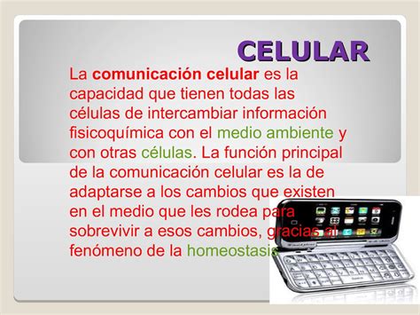 Compartir 84 Imagen Funcion Del Telefono Como Medio De Comunicacion