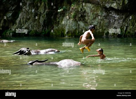 Les garçons la natation dans l eau avec la rivière Buffalo Leishan