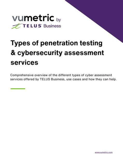 External Penetration Testing Case Study Vumetric