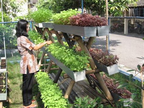 Contoh Desain Taman Toga Minimalis Di Halaman Rumah Redaksiutama