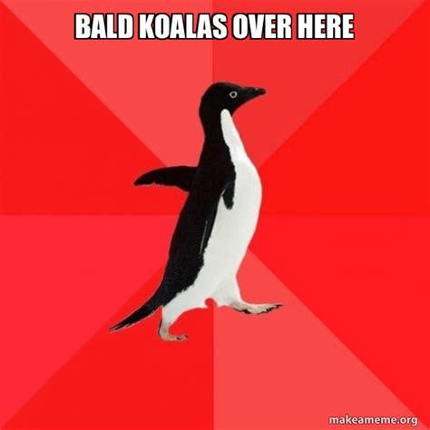 Bald Koalas Over Here Socially Awesome Penguin Meme Generator