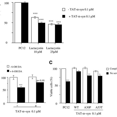 Subcellular distribution patterns of EGFP tagged α synuclein in HEK293