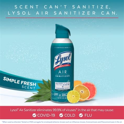 Lysol Air Sanitizing Spray Odor Eliminating Air Freshener Simple Fresh 10 Oz 10 Oz Smiths