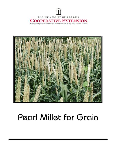 PDF Pearl Millet For Grain