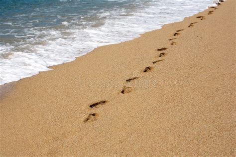 Empreintes De Pas Sur Le Sable Photo Stock Image Du Rivage Piste