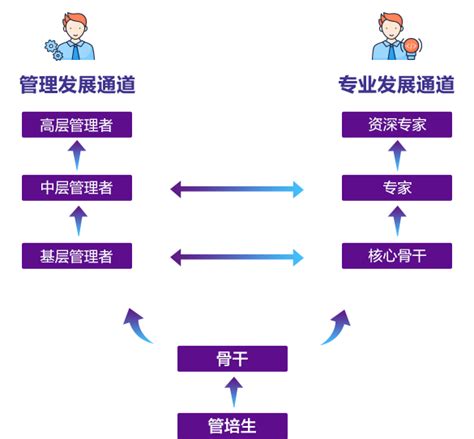 卡姿兰集团2024届秋季校园招聘