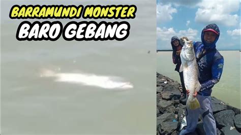 Baro Gebang Masih Jadi Spot Idaman Mancing Kakap Putih YouTube